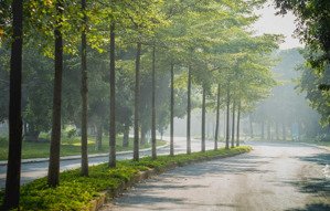 cho thuê 2 ngủ , 50m2 sử dụng, đủ đồ - chung cư westbay ecopark - giá 6tr5/tháng