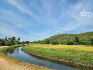 đất cây lâu năm giá rẻ chuyển nhượng chính chủ. 2 mặt tiền đường dt6 và đường bờ kè sông tân lâm