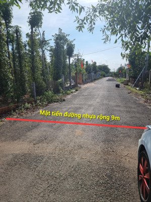 bán đất 2 mặt tiền xã hòa hội, huyện xuyên mộc, tỉnh bà rịa vũng tàu