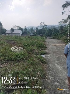 đất tam đảo vĩnh phúc diện tích gần 4.200m2