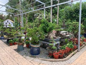 đất đầu tư lô góc đường nhựa 10m sát đường vườn lài đoạn gần cầu sắt - 16x22 full thổ cư - giá tốt