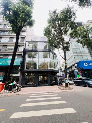 sản phẩm hiếm 2 mt phạm ngọc thạch 10 x 20m, 4 tầng hđt 350 triệu, giá bán 88 tỷ