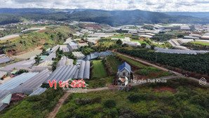 bán nhà xuân thọ đà lạt 633m2 280m2 xd 7,5 tỷ