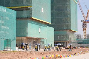 the ten becamex tokyu căn hộ giới hạn, cho thuê 25-45 triệu/tháng