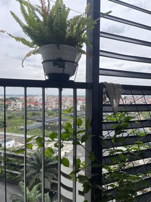 bán căn 1 ngủ toà c westbay giá 2.990 tỷ bao phí tầng đẹp nhà mới lh 