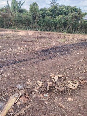 #đất bảo vinh,dt: 260m2, mặt tiền 10m, pháp lý đầy đủ, ngân hang cho vay 1 tỷ