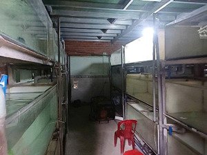 bán nhà 1/ tân long, xã tân nhựt. huyện bình chánh, 486.4m2, ngang 12m, 2 tầng, giá 6 tỷ