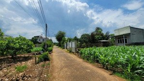 đất view núi 360m2 tại xuân lộc, đồng nai, 1 tỷ