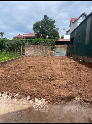 bán đất cc tại liên hồng đan phượng