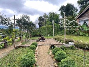 cơ hội sở hữu đất thổ cư diện tích lớn ngay trung tâm dầu giây khu đức mẹ núi cúi