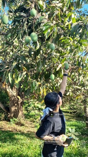 view thung lũng, nhà đồi gần hồ trị an, vườn đã có sẵn cây ăn trái lâu năm, đầu tư nghỉ dưỡng