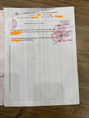 lộc an, bảo lâm, 246.2m² (có 146.2m² đất ở), 9 triệu/m².