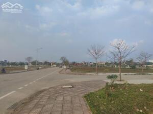 Cần bán đất mặt bằng xã Triệu Sơn, tỉnh Thanh Hóa giá đầu tư, đất đẹp mặt bằng đẹp!