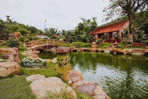 chính chủ bán cắt lỗ mảnh đất 5426.6m2 nhà vườn ven suối thiên nhiên tại tt trới hoành bồ hạ long