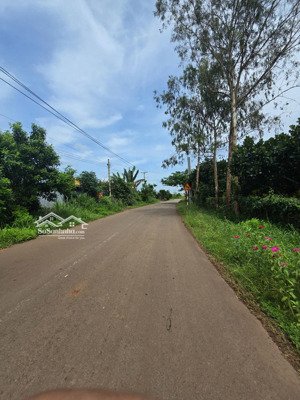 10.816m2 đất view sông ở đồng nai. thích hợp làm homestay, farmstay, xây khu nghỉ dưỡng gia đình