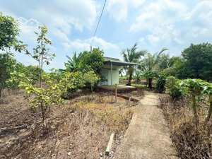 đất bảo quang, long khánh, gía 550tr/ 1 sào. dt: 4300m2 hàng hiếm, gần 100m mt đường