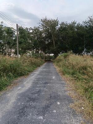 Bán đất Minh Thạnh - Dầu Tiếng Bình Dương.Diện tích 5x45(100 mét thổ cư) Đường nhựa giá đầu tư