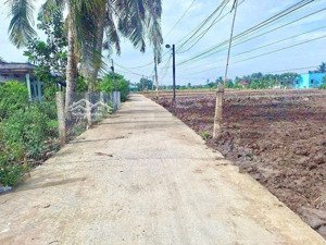 cần bán đất lúa + thổ làm nhà vườn (bình tịnh - tân trụ - long an)