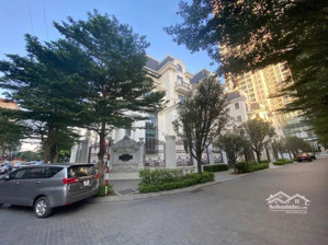 bán biệt thự đơn lập lô góc the zei mỹ đình, từ liêm: 265m2. mt: 15m. 5 tầng siêu đẹp. 105 tỷ tl