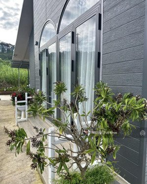 bán nhà an bình phường 3 đà lạt 660m2 8,5 tỷ
