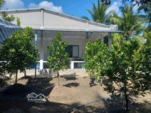 vườn mít tại giá rẻ, có sẵn sổ tại chơn thành, đồng nai (bình phước cũ)