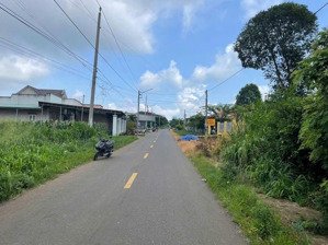 chủ ngộp! bán nhanh 262m2 + 100m2 thổ cư 540tr bao sổ ngay ubnd