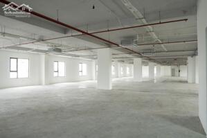Tổng hợp văn phòng không tính phí ngoài giờ, diện tích đa dạng, giá thuê từ: 133.000đ/m2