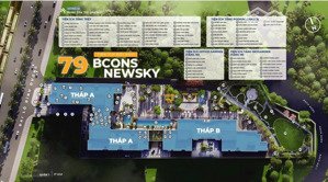 dự án newsky đầu tư tương lai, cuộc sống đẳng cấp!