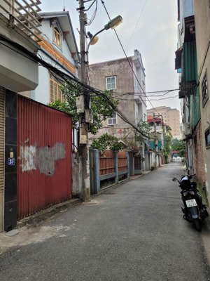 chính chủ bán đất phân lô đẹp phố kẻ tạnh - giang biên - 49.5m2 vuông vắn, ngõ thông ô tô