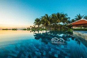 căn hộ thông tầng - tầng trệt mặt tiền view sông q8 mở quán coffee