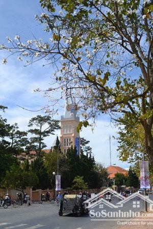 đất liên kế đường ô tô ngay trung tâm đà lạt, gần nhà thờ con gà