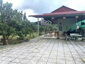 lô đất vườn nhà sẵn 200m2 thổ cư, nguồn thu 100 triệu/năm, ngay kcn minh hưng, đường nhựa 16m, shr