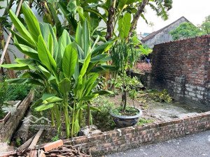 bán đất tại xã mai lâm, đông anh, hà nội, 5,35 tỷ, 47 m2