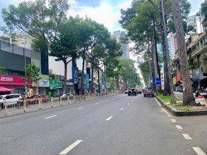 bán nhà hẻm xe hơi, trần đình xu, p. cầu kho, q1.dt:4x19, 1tr1l, giá:17 tỷ