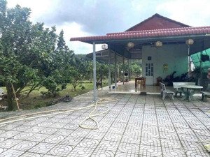 chính chủ bán gấp - mua đất tặng nhà cấp 4 ngay kcn becamex hơn 3000m2, chỉ 950 triệu có thổ cư