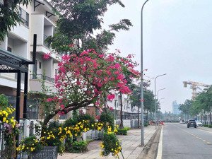 rẻ nhất nhà phố 120m2, 3 tầng, chỉ 8 tỷ, ngay đại lộ hà nội - gia bình. kđt centa vsip từ sơn