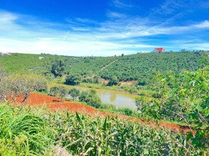 hơn 8 sào đất nam hà, lâm hà bán lỗ 7,5 tỷ thương lượng có hồ nước rộng