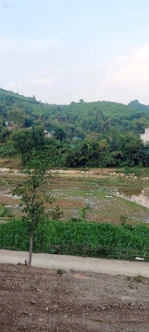 gấp gấp chỉ 1,x tỷ sở hữu ngay 2000m tc bám bê tông 60m gần sungroup kim bôi hòa bình