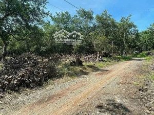 bán đất tại đt 752, minh tâm, hớn quản, bình phước, 50 tỷ, 42000 m2