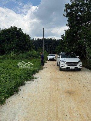 bán đất full thổ cư xã dầu giây giá chỉ 585 triệu