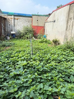 đầu tư giữ tiền đất thiên lộc 73,6m giá 5,28 tỷ - thanh khoản cao