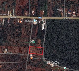 bán đất vườn sầu riêng gần sân bay long thành cực đẹp tiện làm nhà nghỉ dưỡng.