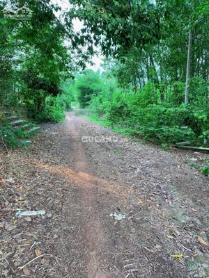 BÁN ĐẤT DIỆN TÍCH LỚN AN NHƠN TÂY – CỦ CHI | GIÁ TỐT ĐẦU TƯ DÀI HẠN