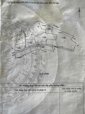 bán gấp đất tại lạc an, bắc tân uyên, bình dương, 19 tỷ, 10000 m2