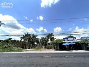 Nhượng 3 công đất mặt tiền Trương Văn Diễn Giá mới 3triệu350/m2