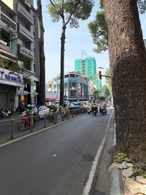 giảm sốc 20 tỷ - mt trần quang khải 13x33m tổng 480m2 - 4 lầu - hđt 261,38 triệu - bán 380 tỷ