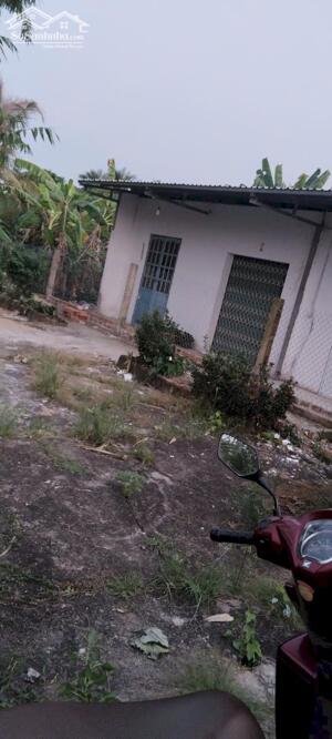 CHÍNH CHỦ CẦN BÁN GẤP 2 LÔ ĐẤT LIÊN KỀ GIÁ RẺ NGAY XÃ MỸ THẠNH, TÂN TRỤ, LONG AN