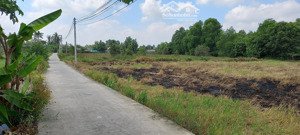 bán đất 250 m2 thổ cư tại xã an nhựt tân (nhựt tảo mới), tân trụ, long an