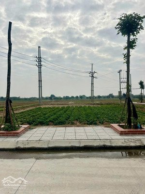 bán đất đấu giá cống đầm cực đẹp, đại xuyên phú xuyên