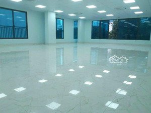 cho thuê văn phòng mễ trì hạ nam từ liêm 130m² 29 triệu/tháng)